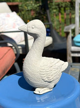 Goose Grams! (Desk Goose Take & Make Kits)
