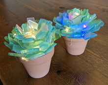 03/09/25 (Sunday) Sea Glass Succulents & More! 130pm - 330pm