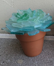 03/09/25 (Sunday) Sea Glass Succulents & More! 130pm - 330pm