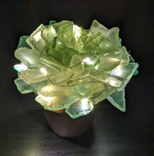 03/09/25 (Sunday) Sea Glass Succulents & More! 130pm - 330pm