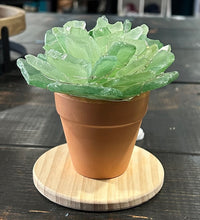 09/18/25 (Thursday) Sea Glass Succulent Workshop!  6pm - 730pm