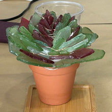 09/18/25 (Thursday) Sea Glass Succulent Workshop!  6pm - 730pm