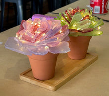 09/18/25 (Thursday) Sea Glass Succulent Workshop!  6pm - 730pm