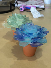 09/18/25 (Thursday) Sea Glass Succulent Workshop!  6pm - 730pm