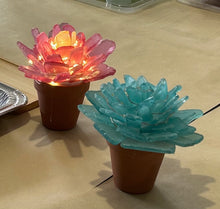 09/18/25 (Thursday) Sea Glass Succulent Workshop!  6pm - 730pm