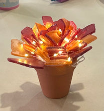 09/18/25 (Thursday) Sea Glass Succulent Workshop!  6pm - 730pm