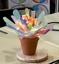 09/18/25 (Thursday) Sea Glass Succulent Workshop!  6pm - 730pm