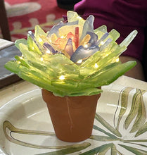 09/18/25 (Thursday) Sea Glass Succulent Workshop!  6pm - 730pm