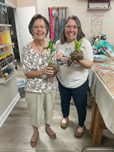 09/19/25 (Friday) Roots & Moss Kokedama Workshop!  6pm - 730pm