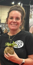 09/19/25 (Friday) Roots & Moss Kokedama Workshop!  6pm - 730pm