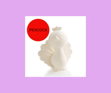 03/23/26 (Monday) Mini Makers Spring Break Arts & Crafts Camp! 9am - 12pm