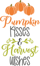 09/07/25 (Sunday) Harvest Home Decor Workshop!  130pm - 330pm